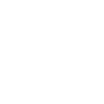 Kia Imports